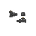 status form fwniako isio brass form climaland